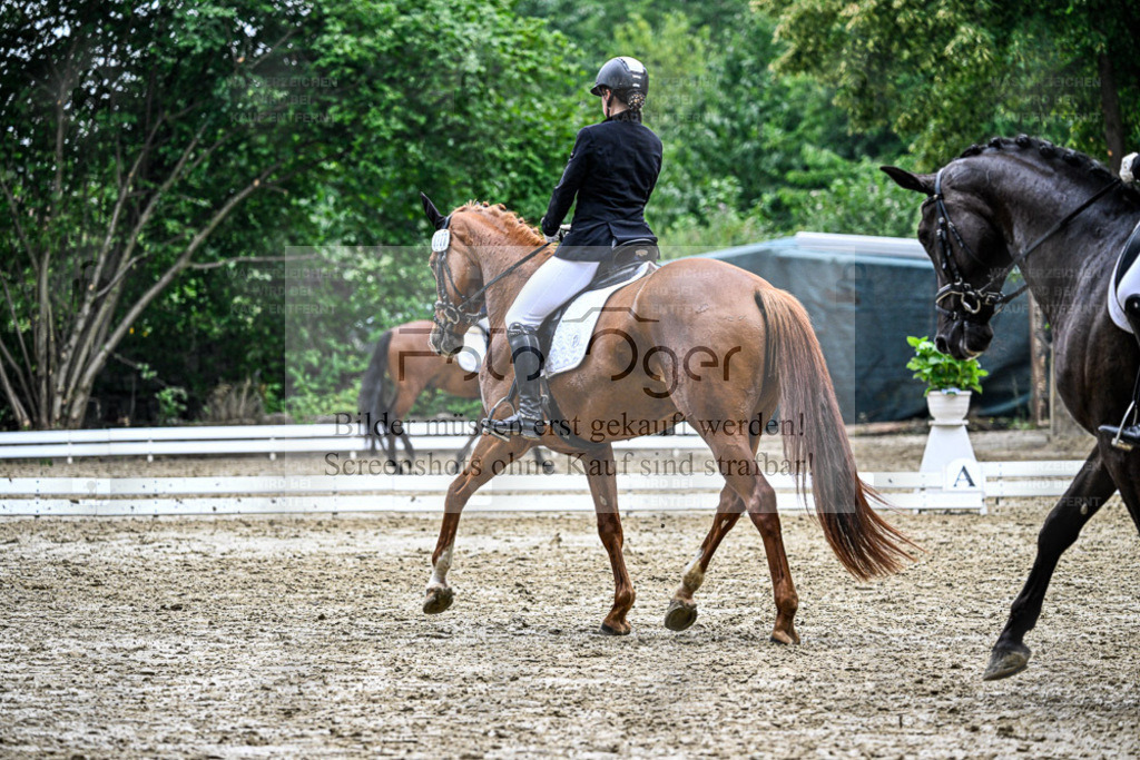 Bissendorfer Reitertage | Entdecke hochwertige Reitturnierfotos von Foto Oger. Professionell, emotional und authentisch – jetzt Lieblingsmomente im Shop bestellen. - Realisiert mit Pictrs.com