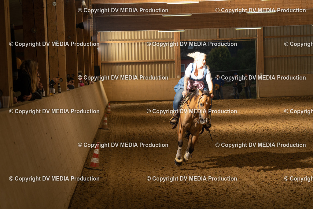 LAU01136 | dv-media-shop - Realisiert mit Pictrs.com