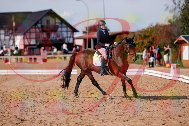 2026_10_03_Siefer-Hof_123140_Z81_30115152 | Professionelle Reitsport-, Turnier- und Eventfotografie von Robert Broda. Galerien mit ausgewählten und bearbeiteten Bildern direkt online ansehen und bestellen.
