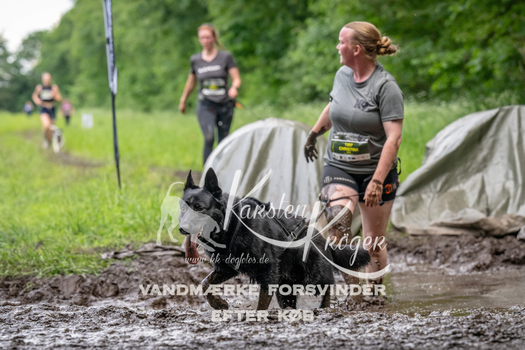 1524_ZZ93263 | kk-dogfotos
