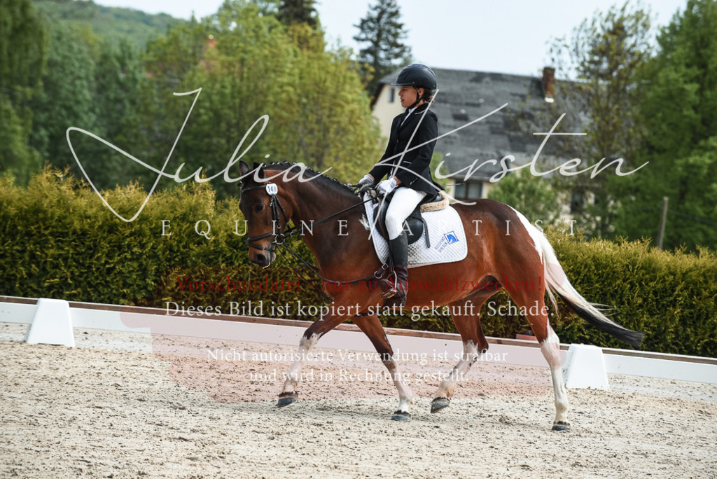 20230518_JK-Röhrsdorf-11-0187 | Pferde- und Turnierfotografie in Westsachsen. Pferdeportraits, Auftragszeichnungen und intuitive Kunst.
