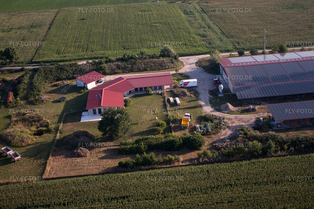 Luftbild: Hühnerhof Aussiedlerhof in Erlenbach bei Kandel im Bundesland Rheinland-Pfalz in Deutschland. Foto: IMG_70261.jpg vom 19.07.2014 durch Werner Riehm/FLY-FOTO.de