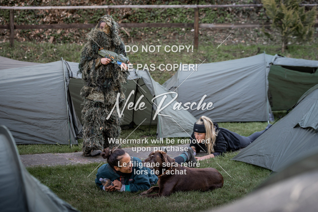 6Z1A1830 | nelerasche