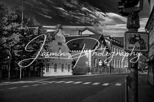 IMG_5932 | Fotoshop Jasmin Photography
Fotografin Mannheim
Fotos Ludwigshafen
Fotografie Mannheim
hochzeitsfotografie
Hochzeitsfotografie Mannheim
Fotografie Altrip
Hochzeitsfotograf Mannheim - Realisiert mit Pictrs.com