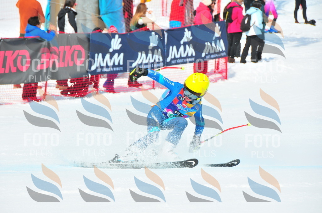 DSC_1665 | holidayphoto