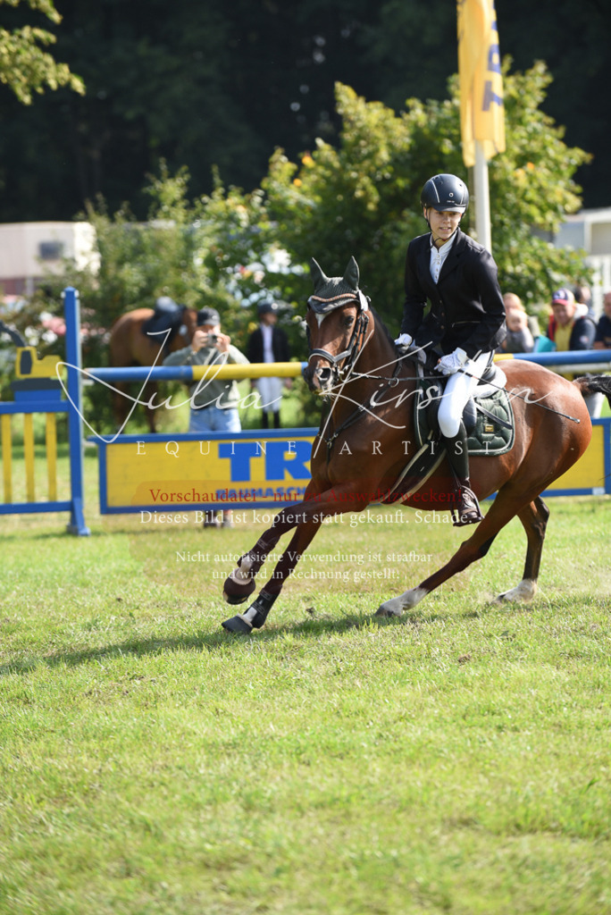 DSC_8925 | Pferde- und Turnierfotografie in Westsachsen. Pferdeportraits, Auftragszeichnungen und intuitive Kunst.