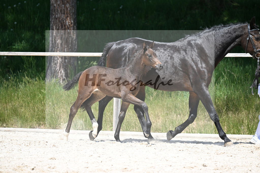 Feliciano x Ray Ban_SF_Stadelmann_10250562 | hf-fotografie - Realizzato con Pictrs.com