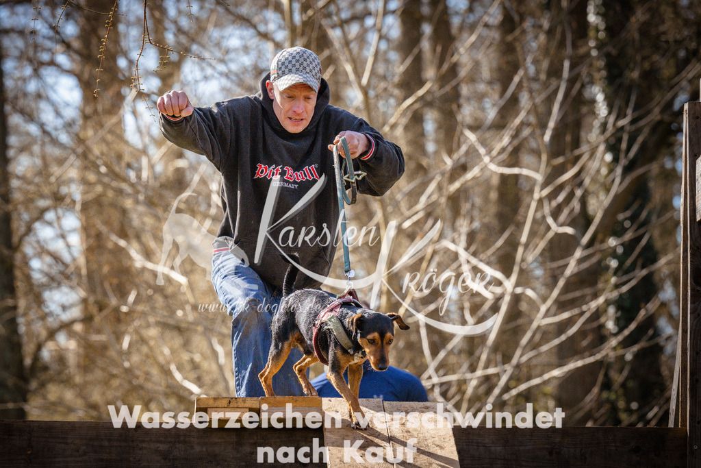 0906_ZZ93600 | kk-dogfotos