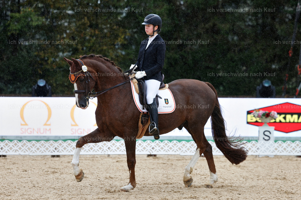 05-002-DRESSUR M_  -StoibPH-4890 | working equitationturnier fotograf videograf stoibphotography marixx film working equitation deutschland reitsport turnierfotografie eventfotografie equestrian events