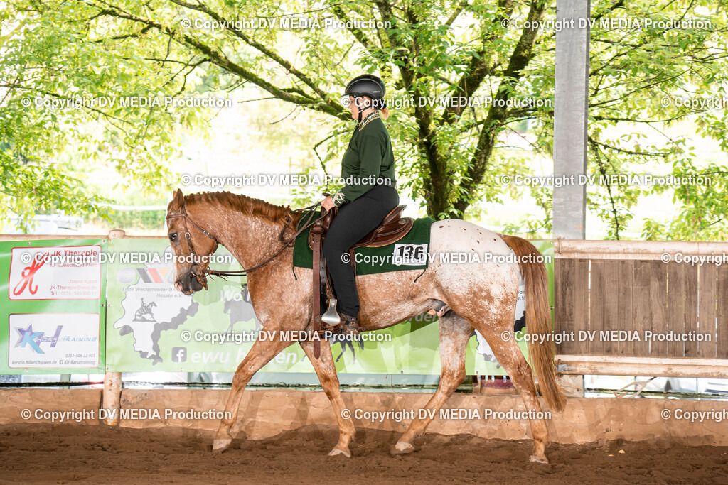 Erbach Tag 1-244 | dv-media-shop - Realisiert mit Pictrs.com