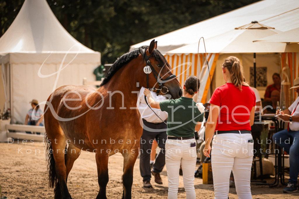 2.Sa00098 | Leoni Ertmer Photography - Realisiert mit Pictrs.com