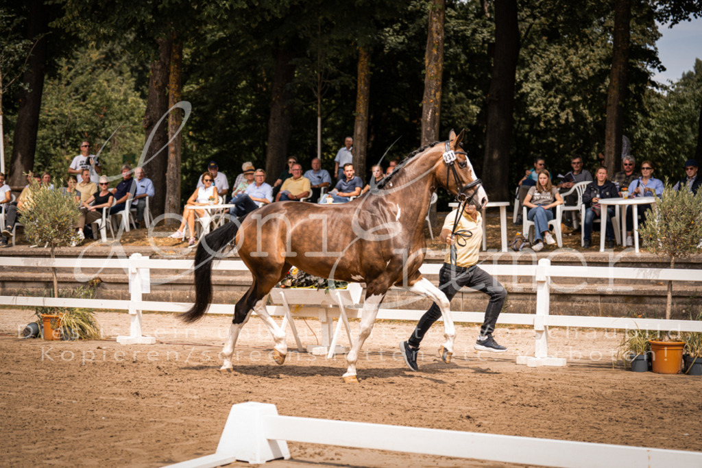 2. Fr00144 | Leoni Ertmer Photography - Realisiert mit Pictrs.com