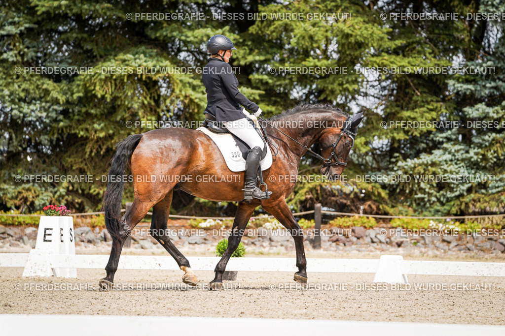 DSC03609 | Pferdegrafie