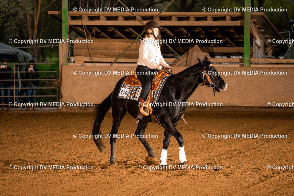 BAL01080 | dv-media-shop - Realisiert mit Pictrs.com