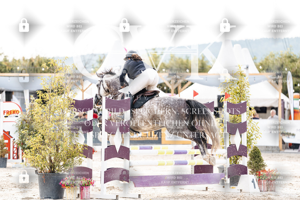 CK907009 | Turnierfotografie Pferdefotografie Trier Rheinland-Pfalz Pferdesport Reitsport Tierfotografie Sportfotografie Pferdevideo Pferdevideografie Equestrianvideography equestrianphotography  - Realisiert mit Pictrs.com