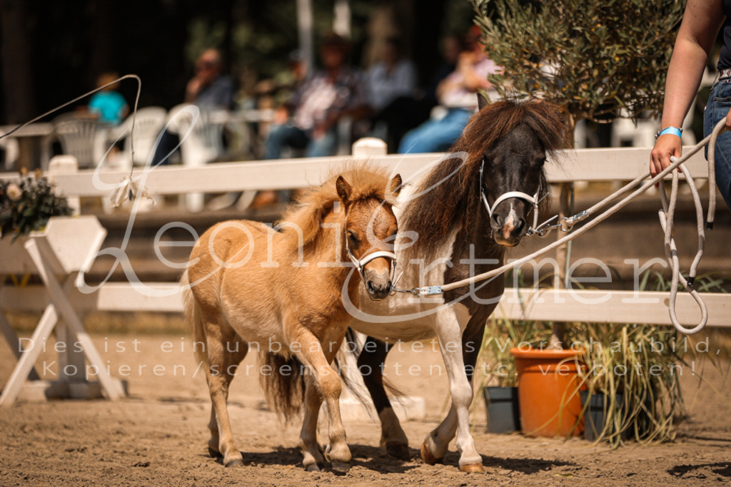 01.DoKR00141 | Leoni Ertmer Photography - Realisiert mit Pictrs.com