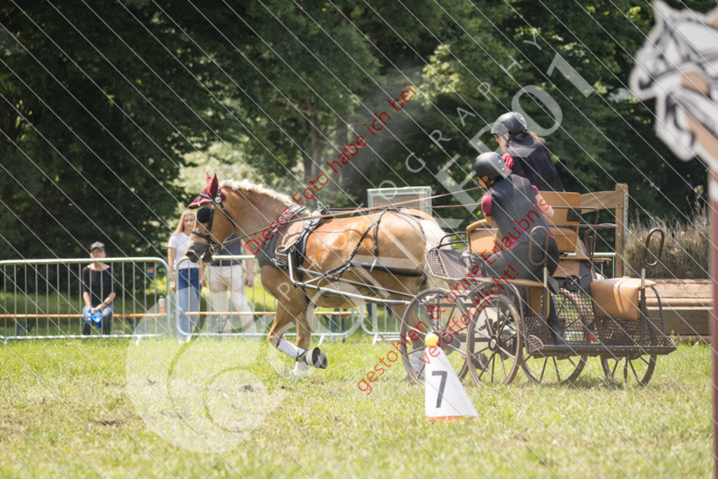 IMG_8519 | Sport-, Event- und Tierfotos in Profiqualität. Einfach auswählen, bestellen und herunterladen. Dein Moment – perfekt festgehalten.