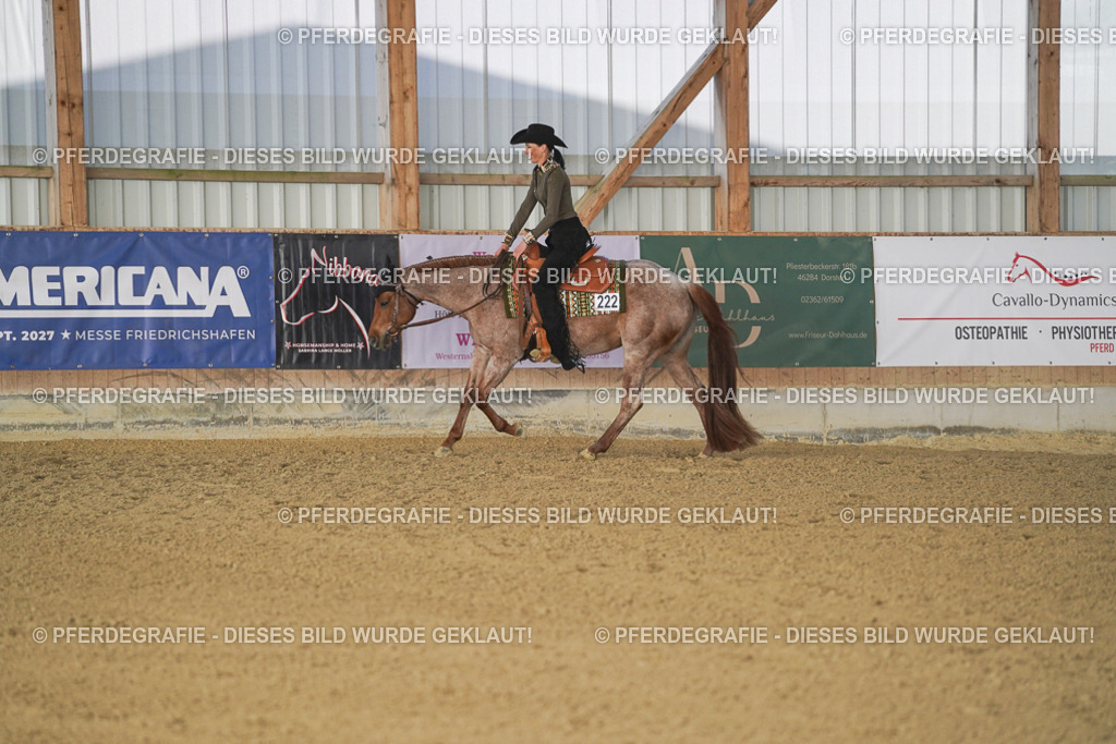 DSC09193 | Pferdegrafie