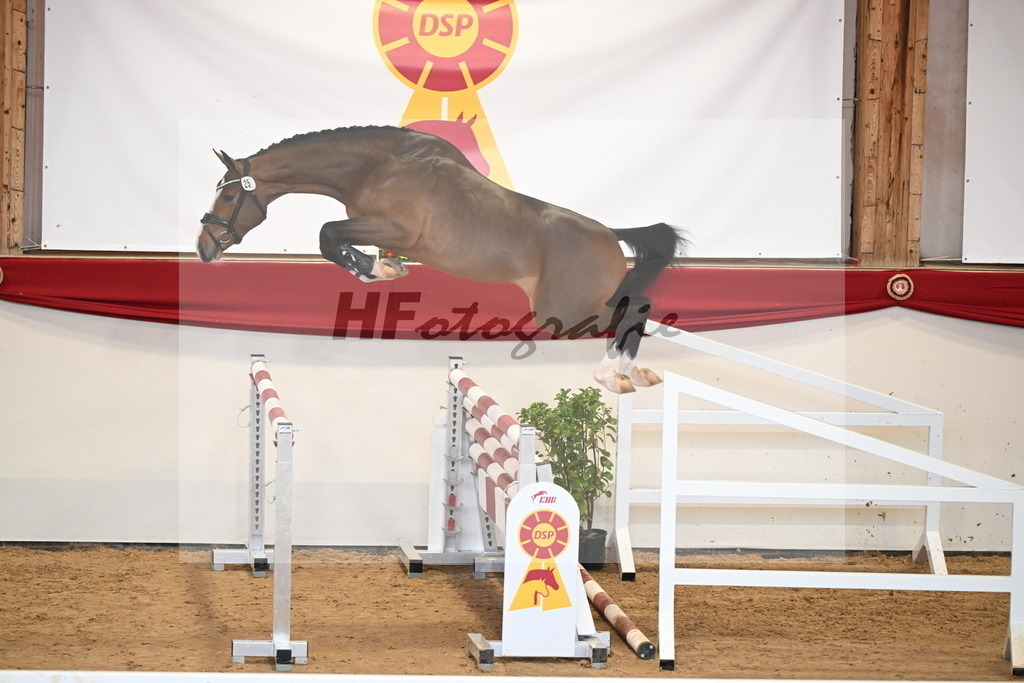 Kat.-Nr. 25 v. Dourkhan Hero Z_Duer-Lehner_2251153 | hf-fotografie - Realizzato con Pictrs.com