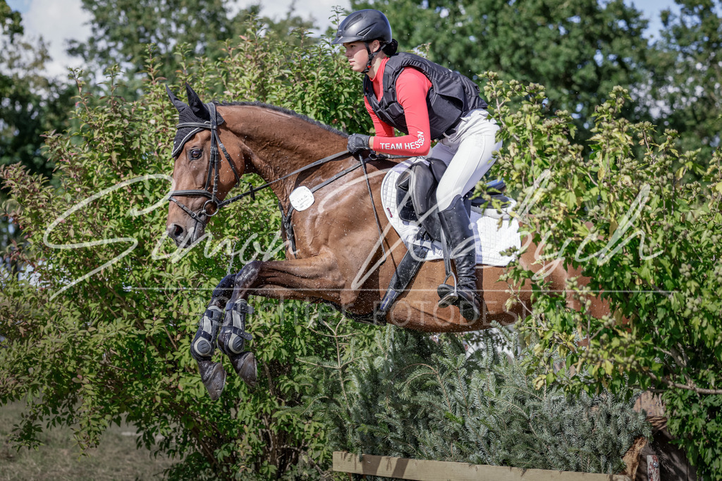 20250906-_3LI6786 | Tierfotografie Pferde, Hunde, Katzen, Haustiere.
Turnierfotografie Reitturniere, Reiten, Springreiten, Dressur in Hanau, dem Main-Kinzig-Kreis und dem Rhein-Main- Gebiet um Frankfurt