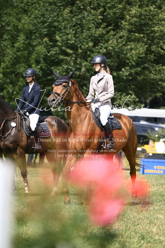 DSC_0685 | Pferde- und Turnierfotografie in Westsachsen. Pferdeportraits, Auftragszeichnungen und intuitive Kunst.