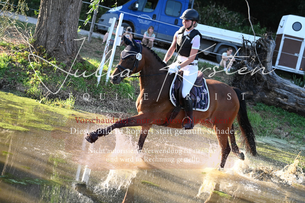 DSC_9170 | Pferde- und Turnierfotografie in Westsachsen. Pferdeportraits, Auftragszeichnungen und intuitive Kunst.