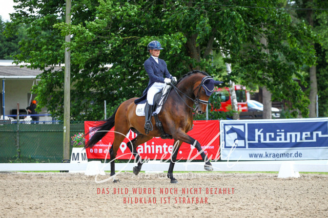 DKP41440 | Turnierfotos kaufen im Webshop von Daniel Kuhl Photography – entdecke professionelle Reitsportfotos aus Turnieren & Events. Hochwertige Turnierbilder online bestellen & sichern. Jetzt Fotos von Reitsportturnieren kaufen!