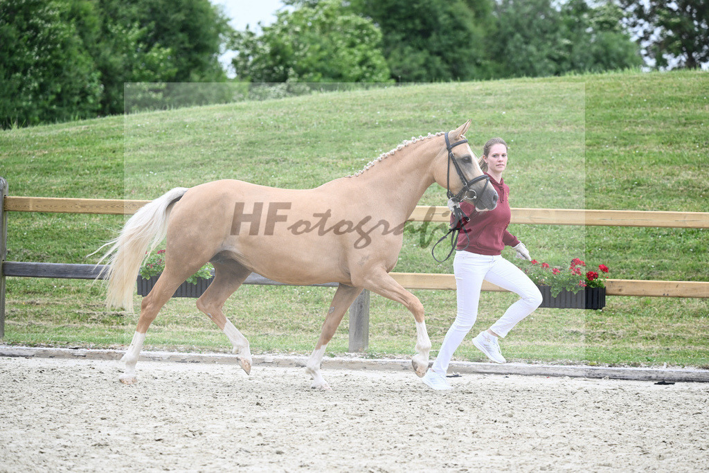 Kat-Nr. 54 HF D-Gold AT_Schober_17231282 | hf-fotografie - Realisiert mit Pictrs.com