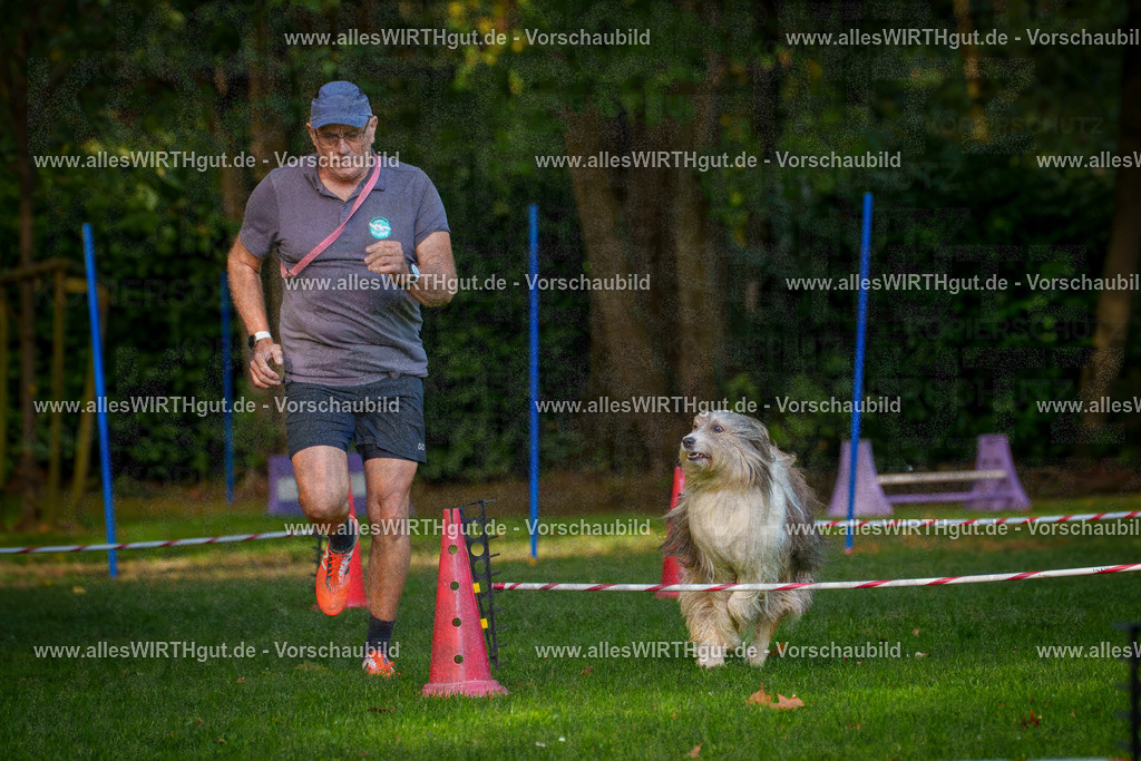 THS_Turnier_27-09-2026-allesWIRTHgut_Tierfotografie-7R506055 | Professionelle Tierfotografie in Mönchengladbach von Daniel Wirth (allesWIRTHgut). Liebevolle & natürliche Bilder von Hunden & Katzen für unvergessliche Erinnerungen.
