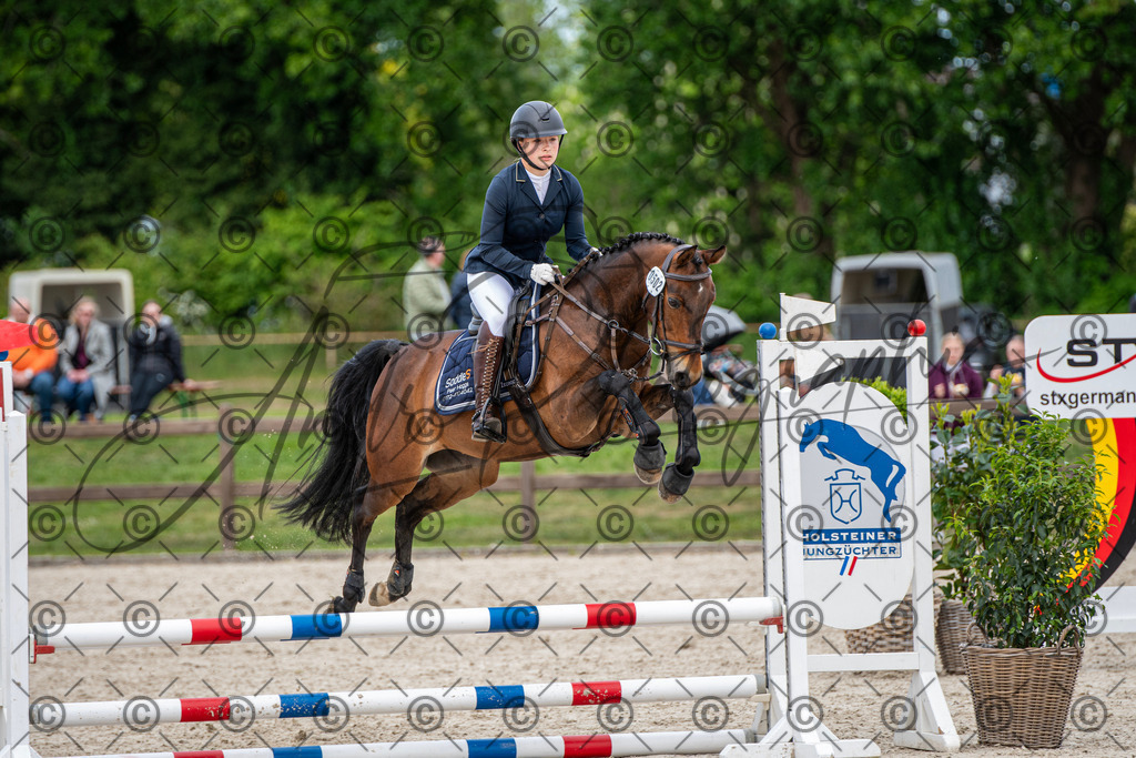 KPT_6323 | andre_photographic