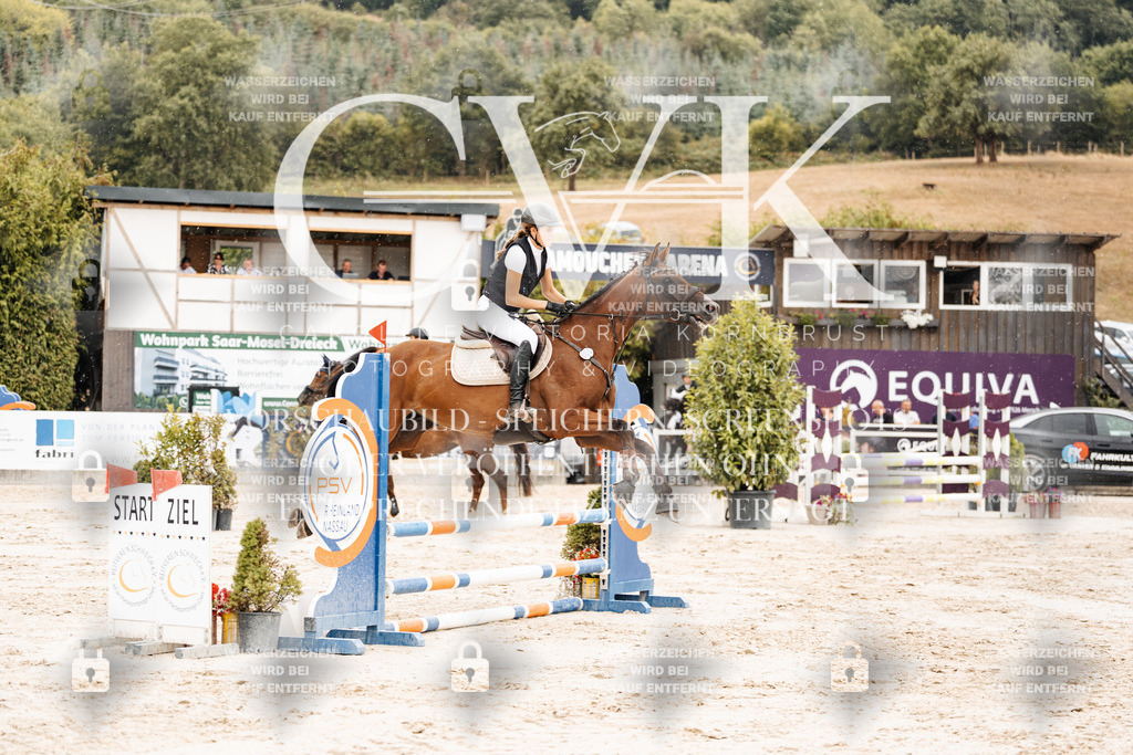 CK908534 | Turnierfotografie Pferdefotografie Trier Rheinland-Pfalz Pferdesport Reitsport Tierfotografie Sportfotografie Pferdevideo Pferdevideografie Equestrianvideography equestrianphotography  - Realisiert mit Pictrs.com