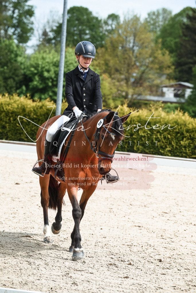 20230518_JK-Röhrsdorf-11-0244 | Pferde- und Turnierfotografie in Westsachsen. Pferdeportraits, Auftragszeichnungen und intuitive Kunst.
