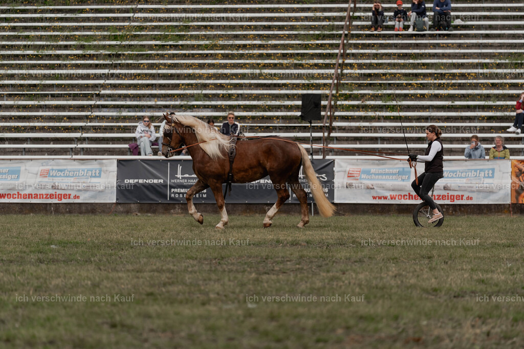 Showprogramm-350 | working equitationturnier fotograf videograf stoibphotography marixx film working equitation deutschland reitsport turnierfotografie eventfotografie equestrian events