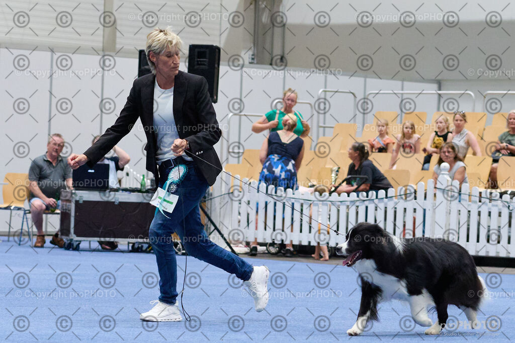 202406_ÖKV-IHA-Tulln24_DSC_2857 | proPHOTO - Realisiert mit Pictrs.com