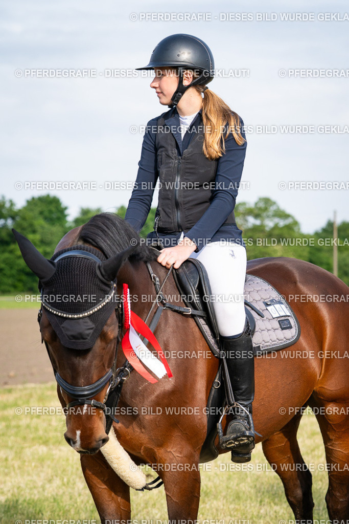 DSC03088 | Pferdegrafie