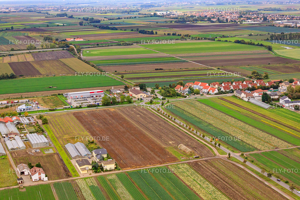 Im Steinböhl | Luftbild: Im Steinböhl in Maxdorf im Bundesland Rheinland-Pfalz in Deutschland. Foto: IMG_34214.jpg vom 02.10.2010 durch Werner Riehm/FLY-FOTO.de - Realisiert mit Pictrs.com