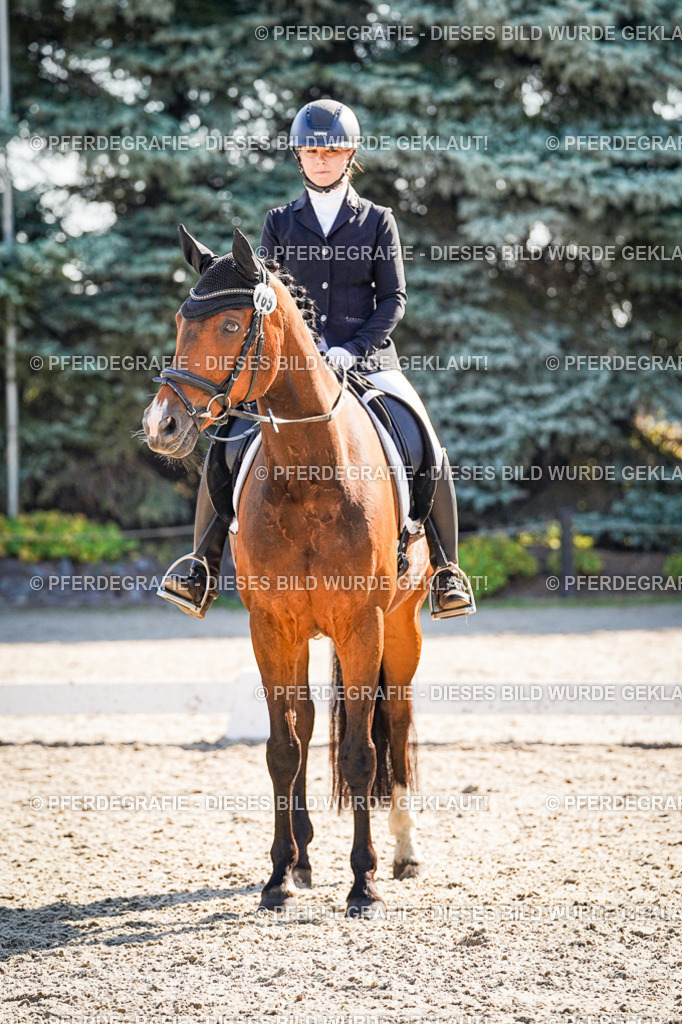 DSC00086 | Pferdegrafie