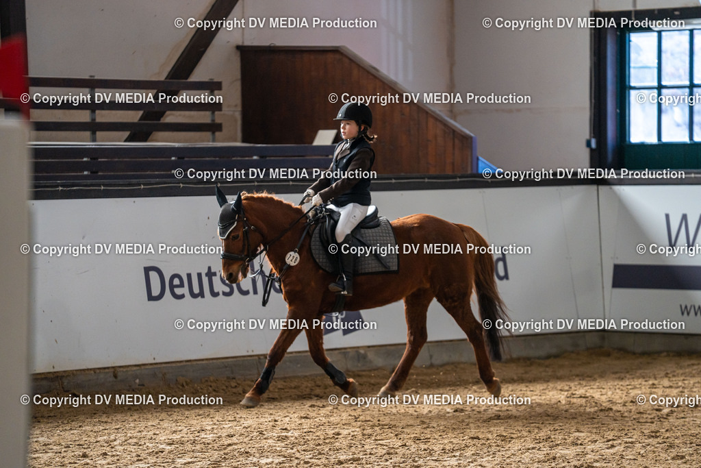 Kranichstein Tag 2-814 | dv-media-shop - Realisiert mit Pictrs.com