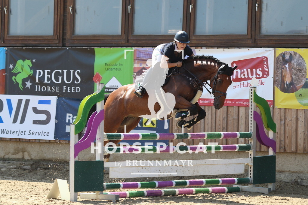 7V2A3521 | Willkommen bei Brunnmayr - Design & Fotografie – Ihrem Spezialisten für Reitturniere und Pferdeveranstaltungen in Oberösterreich, Salzburg und Bayern! Seit über 17 Jahren sind wir leidenschaftlich dabei.