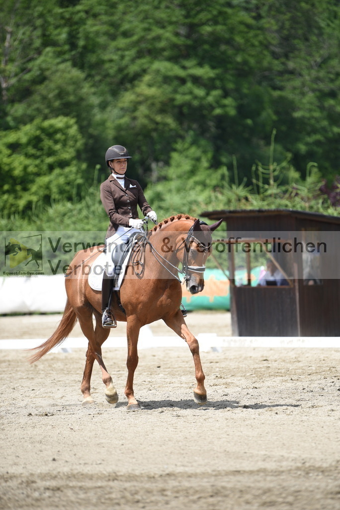 DSC_9214 | equestrian-live-com