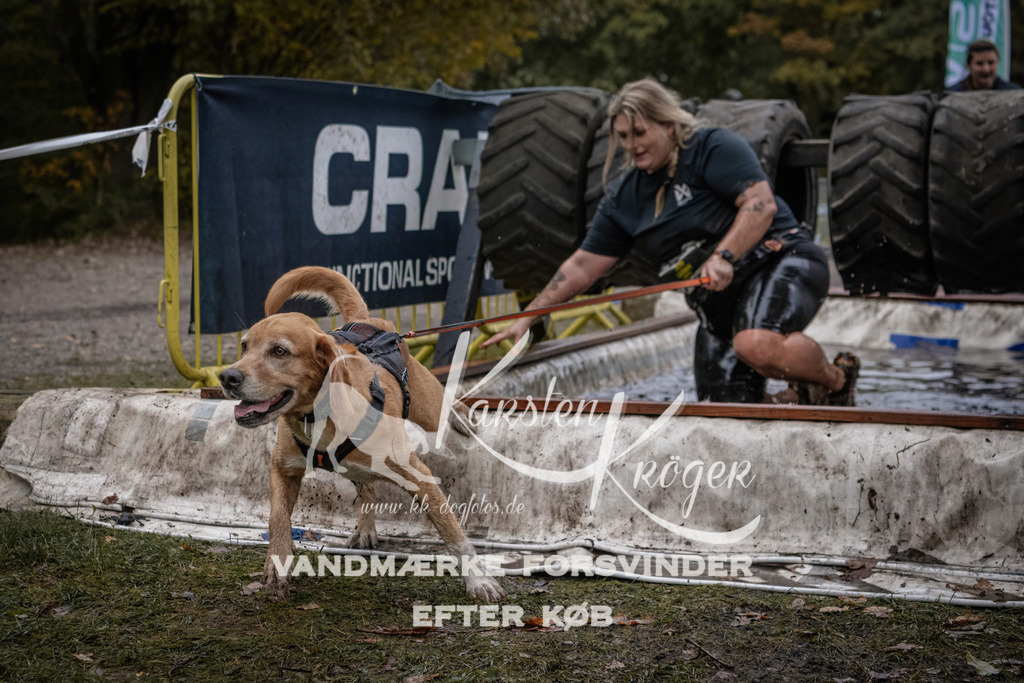 1705_ZZ94897 | kk-dogfotos