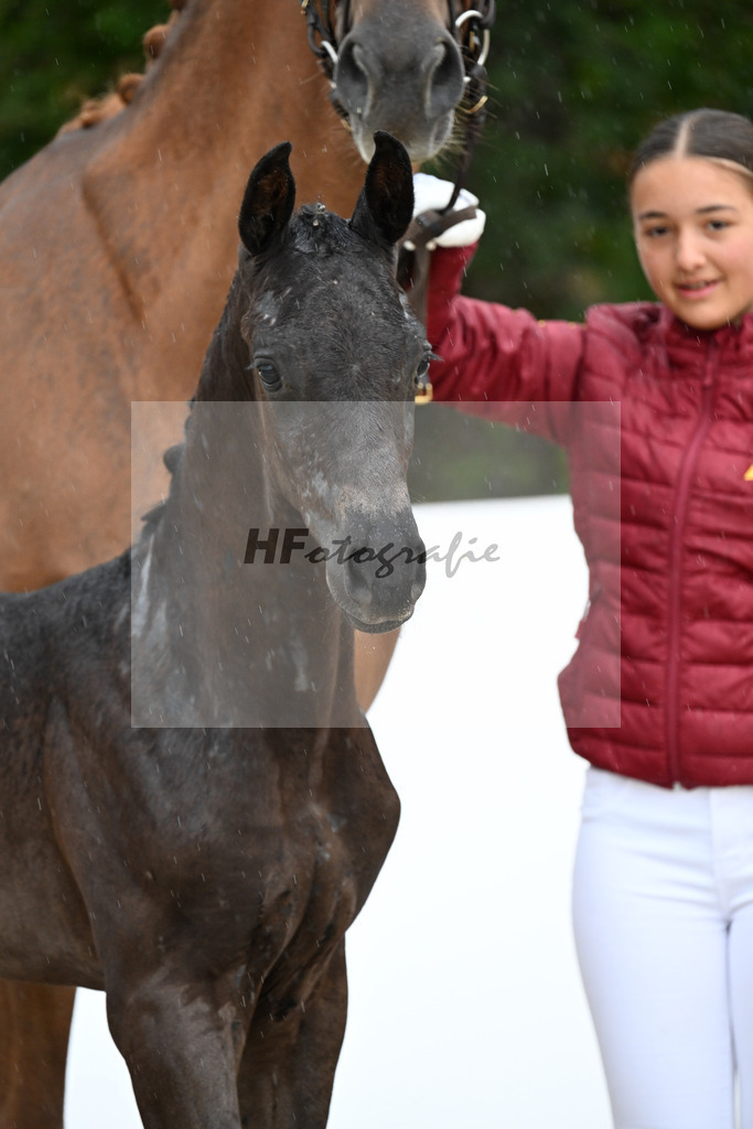 Sarai L x Franziskus_HF_Stiegemeier_23250035 | hf-fotografie - Realizzato con Pictrs.com