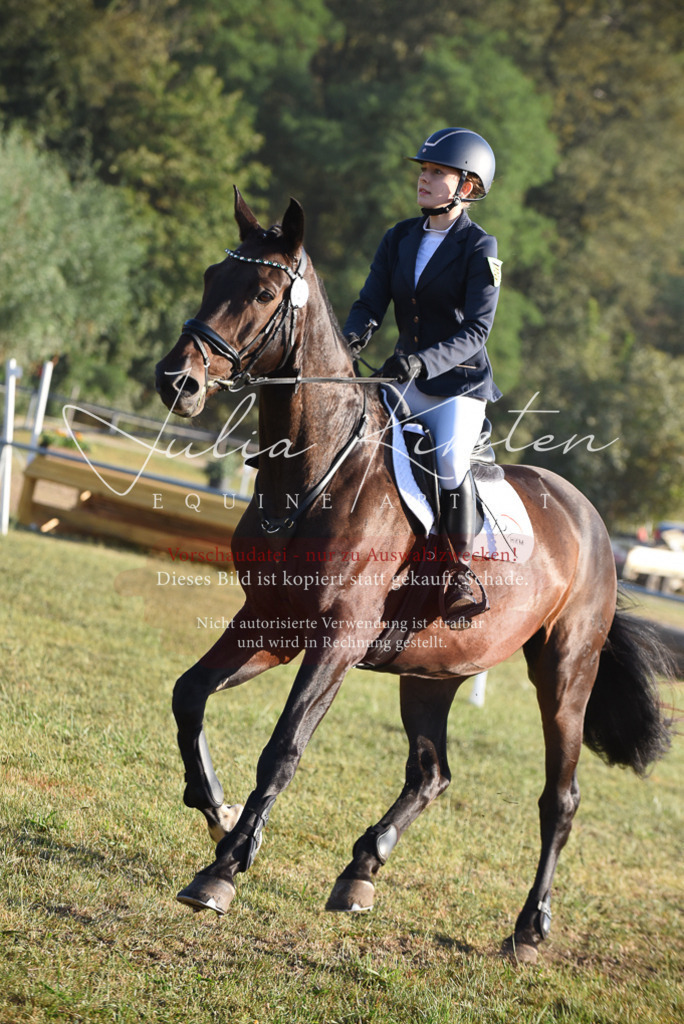 DSC_4884 | Pferde- und Turnierfotografie in Westsachsen. Pferdeportraits, Auftragszeichnungen und intuitive Kunst.