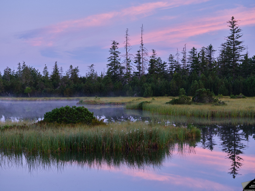 Morgenstimmung am sommerlichen Hochmoor | Ich liebe die Ruhe des Hochmoors am Morgen: Wenn die Nebelschwaden lautlos übers Wasser gleiten und sich das Wollgras im seichten Wind wiegt, kann ich fast vergessen, dass ich mich über mich selbst ärgere, kein Mückennetz mitgenommen zu haben. - Realisiert mit Pictrs.com