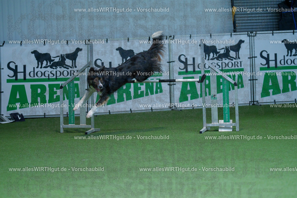 @allesWIRTHgut_Tierfotografie - www.allesWIRTHgut.de - 2604251232-7R502080 | Professionelle Tierfotografie in Mönchengladbach von Daniel Wirth (allesWIRTHgut). Liebevolle & natürliche Bilder von Hunden & Katzen für unvergessliche Erinnerungen.