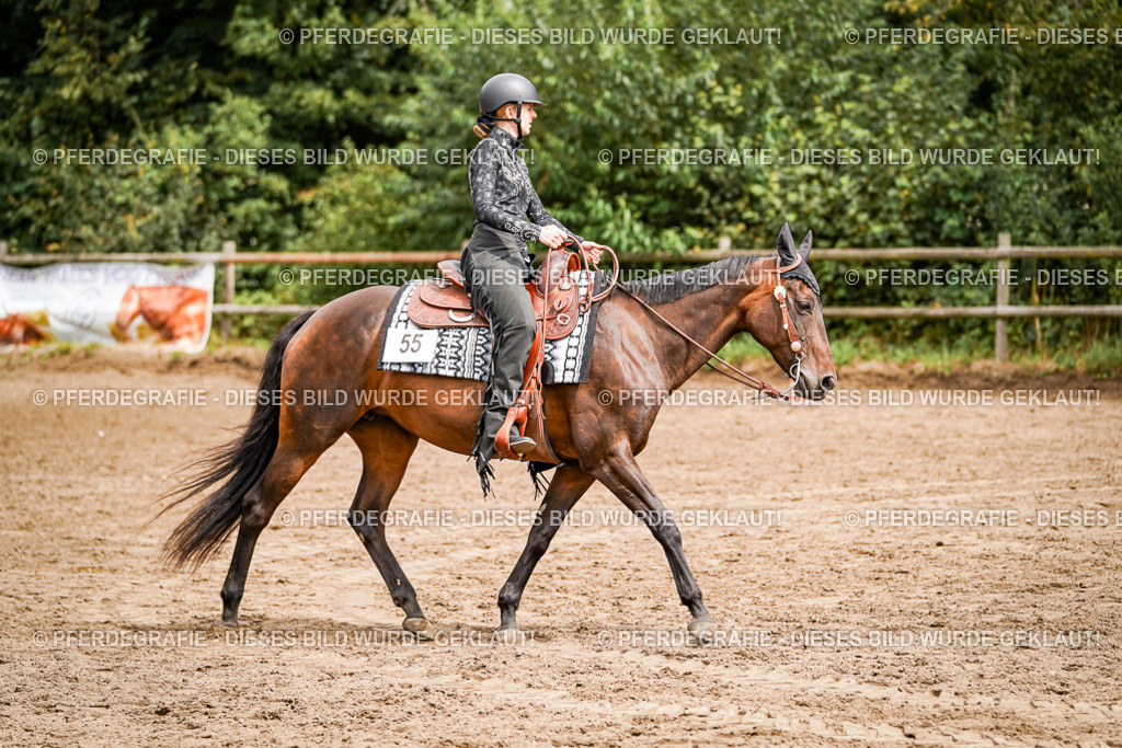 DSC04785 | Pferdegrafie