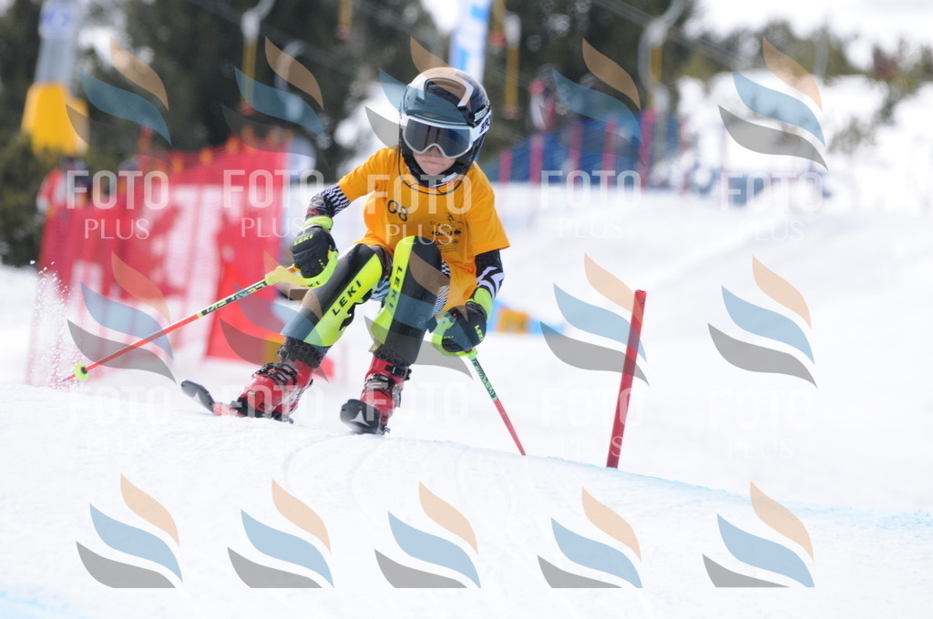 C7555 | holidayphoto