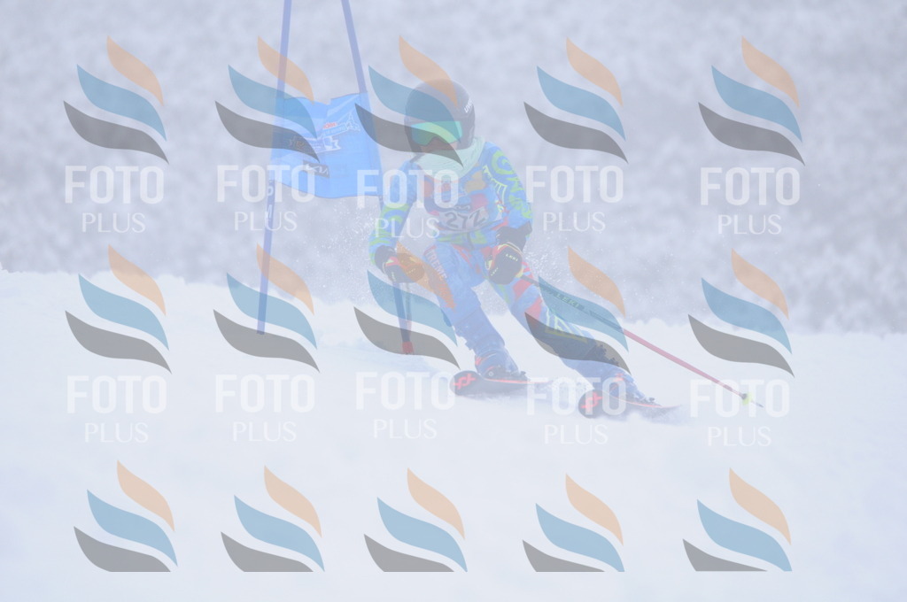 C2854 | holidayphoto