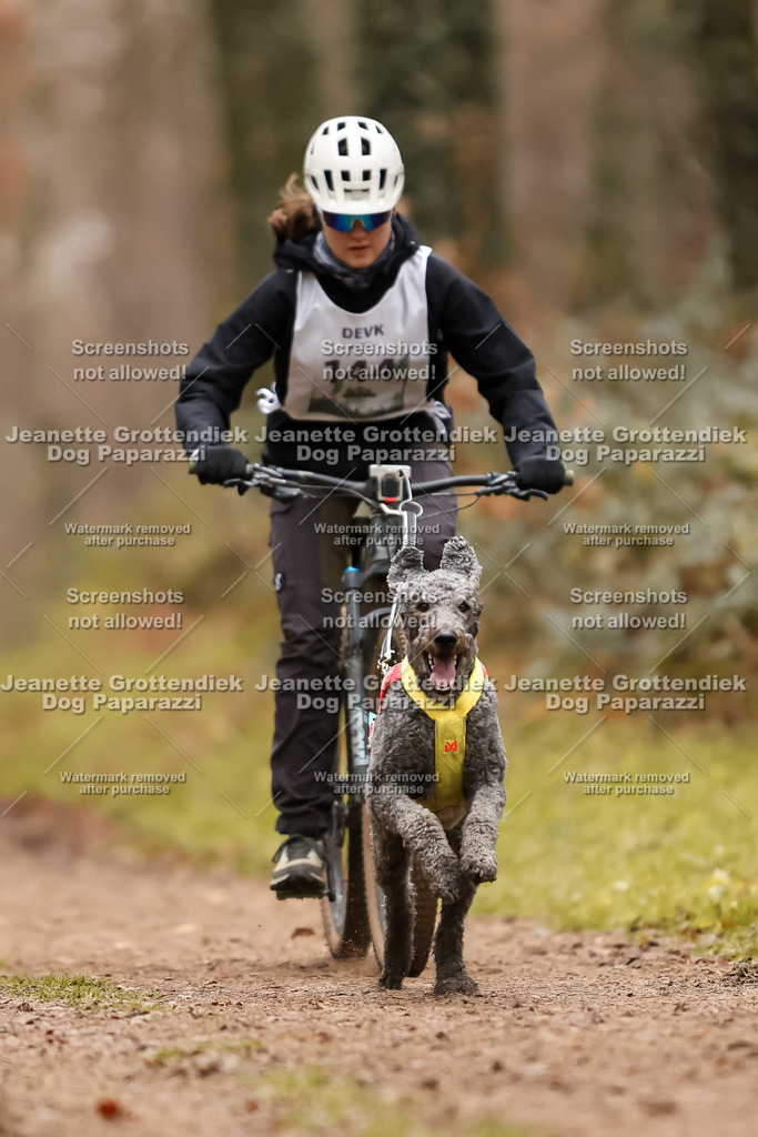 Dog Paparazzi - Speedhunter Mannheim  2025-402 | Dog Paparazzi Jeanette Grottendiek Fotografie & Videografie