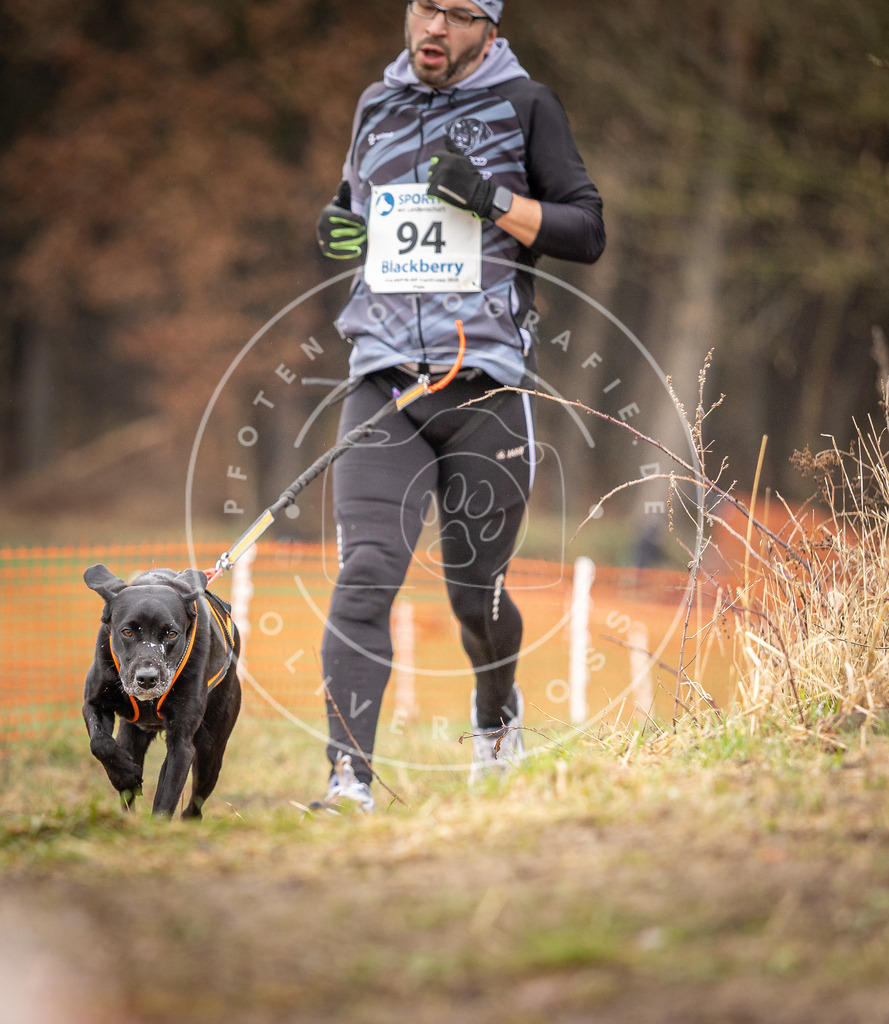 DV3A0498 | Hundefotografie, Tierfotograf, Pfotenfotografie, Fotoshooting Hund, Hunde Portrait, Hundesport, Hundeportraits, Heideshooting, Hunde, Sportfotograf, Hundefotograf, Turnierhundsport, THS,  - Realisiert mit Pictrs.com